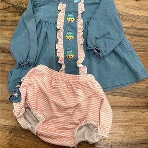 Blue and Pink Diaper Covers Matching Set